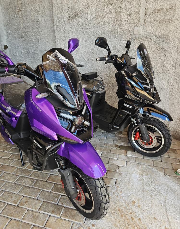 MOTO ELÉCTRICA BRYDERK THANK