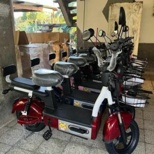 MOTICO CHALLENGER 500w - 48v - 20Ah