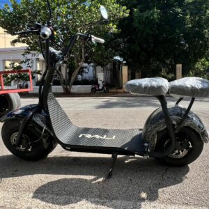 MOTO ELECTRICA RALI JJ