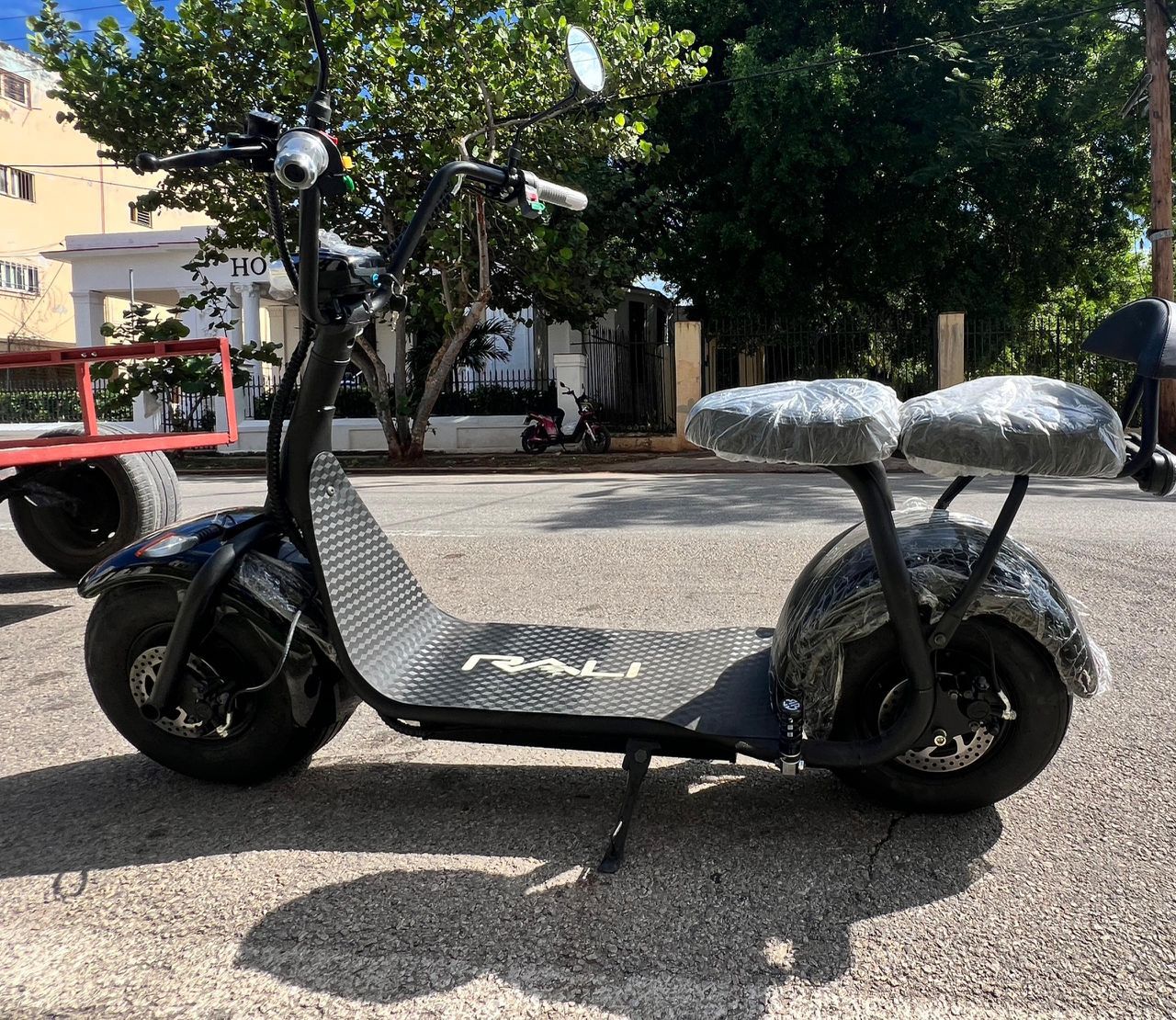 MOTO ELECTRICA RALI JJ