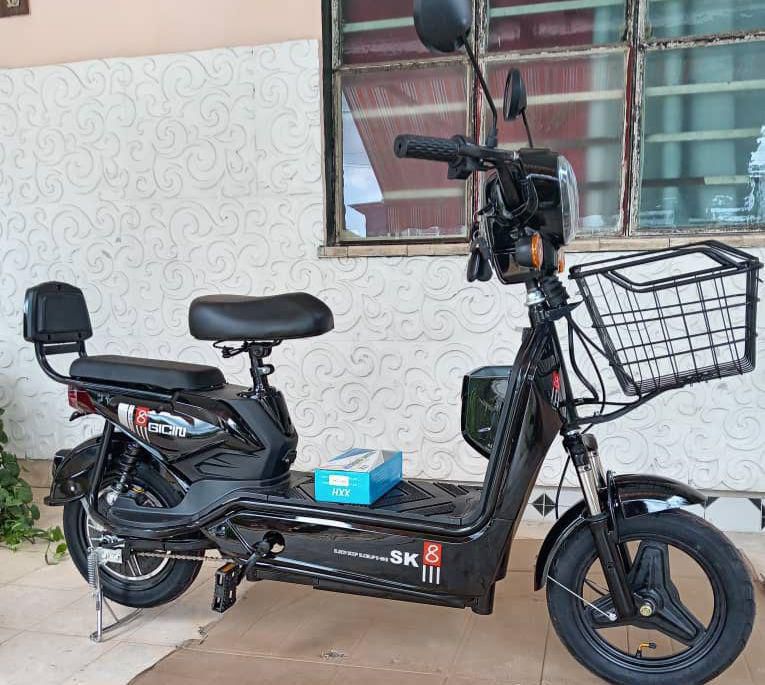 PATINETA ELECTRICA SK 48v - 20Ah