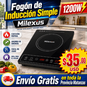 Fogón de Inducción Simple
