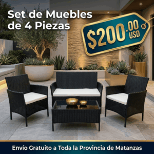 Set de Muebles de 4 Piezas